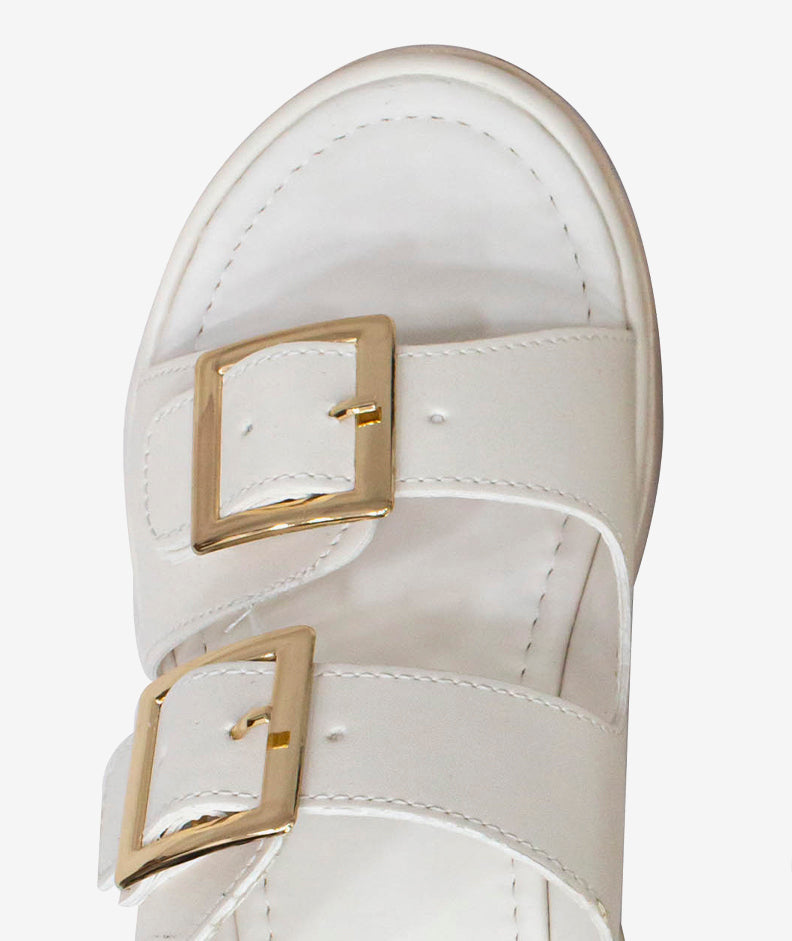 Plataformas ZMexico 10353