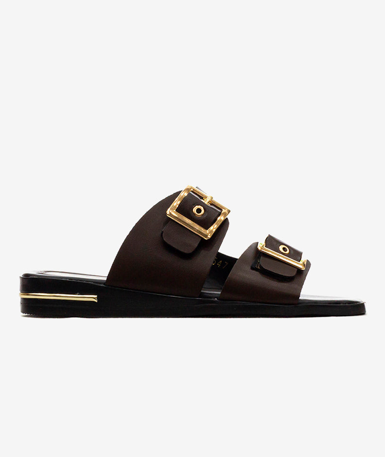 Plataformas Zmexico 10952