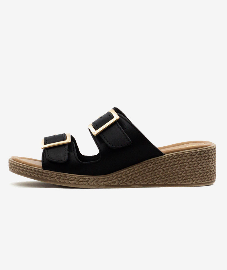 Plataformas Zmexico 1359