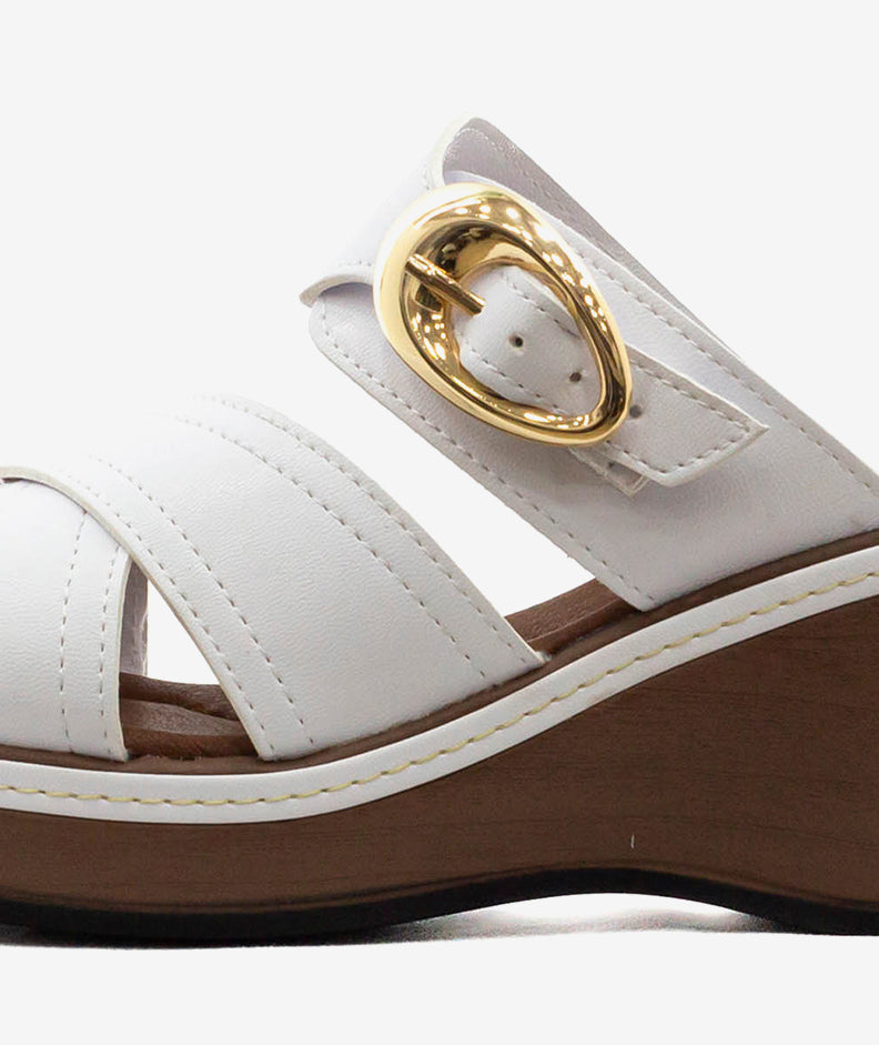 Plataformas Zmexico 1411