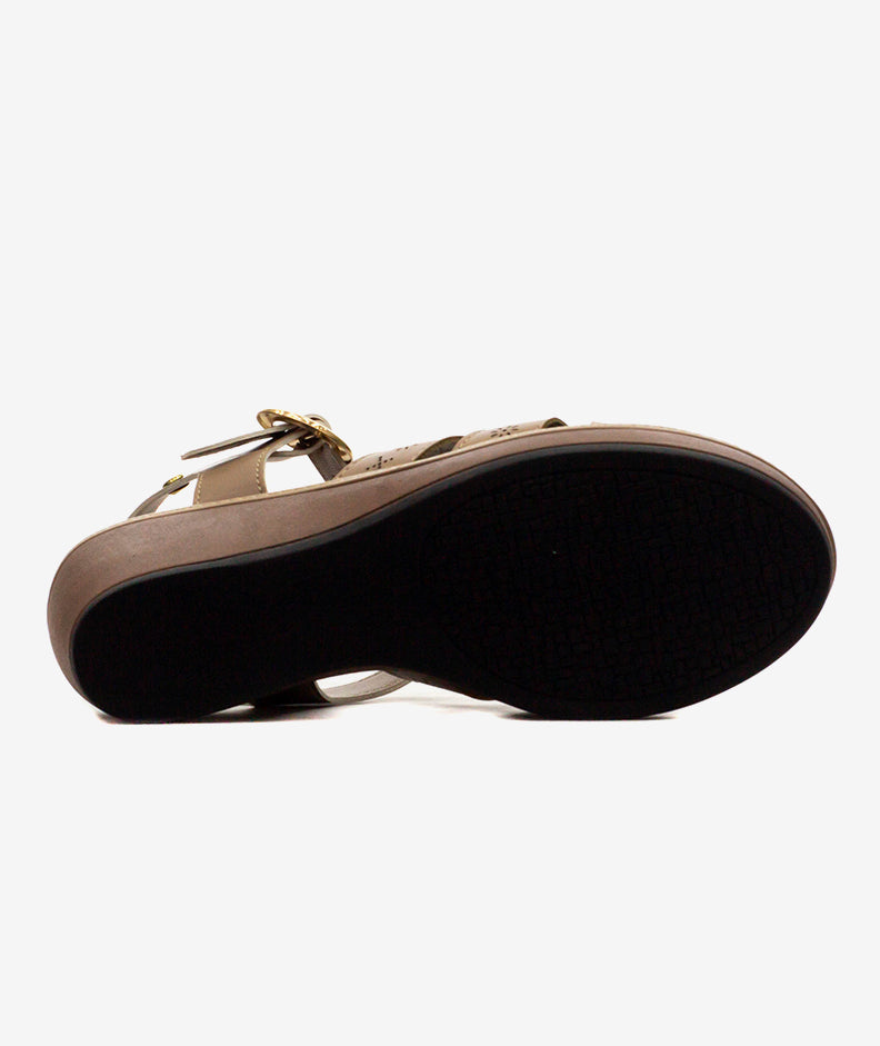 Plataformas Zmexico 1412