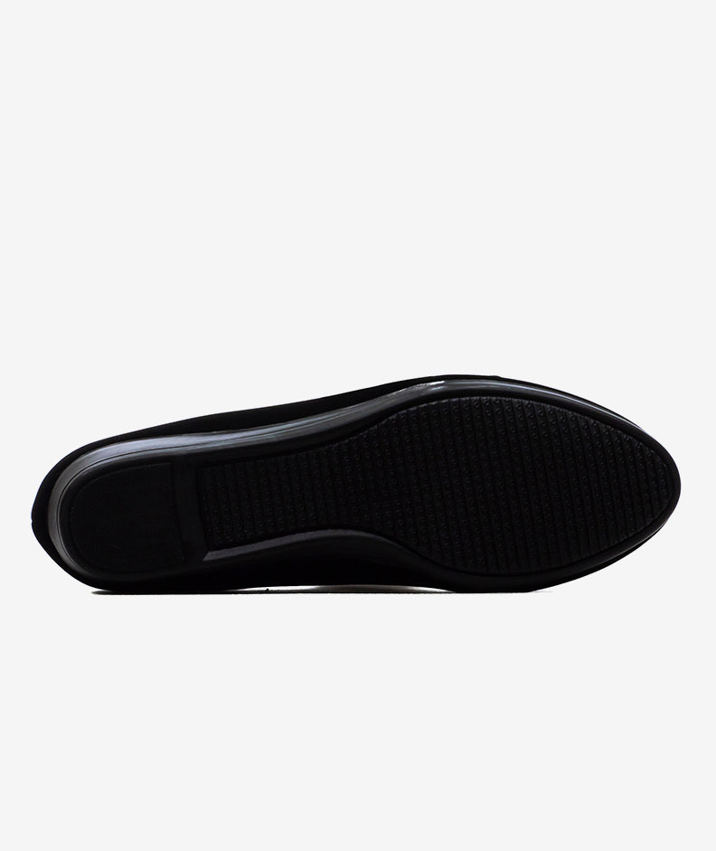 Ballerinas ZMexico 2221
