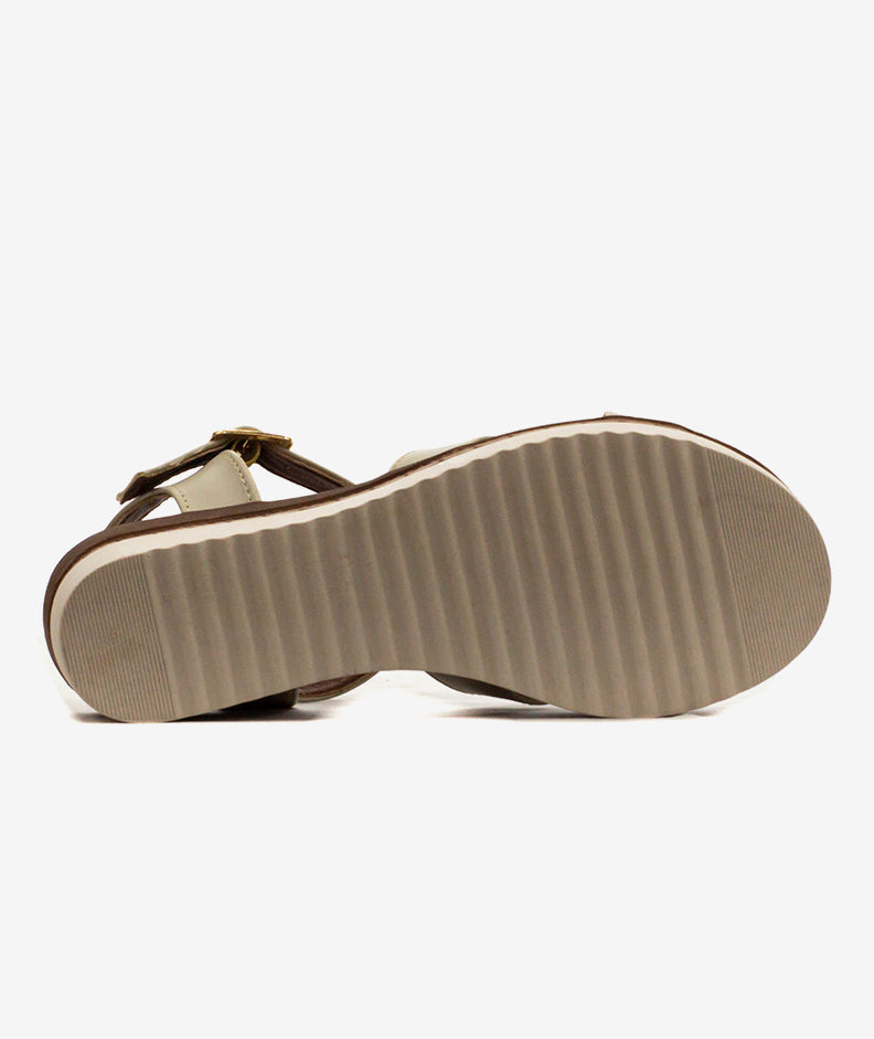 Plataformas Zmexico 381