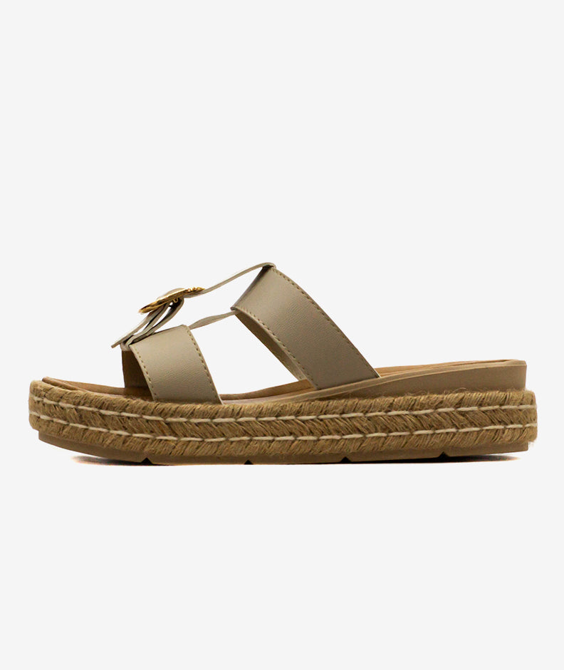 Plataformas Zmexico 442