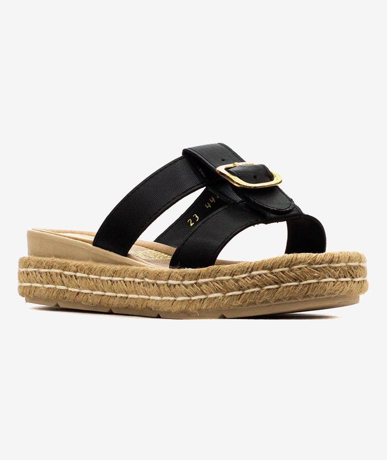 Plataformas Zmexico 442