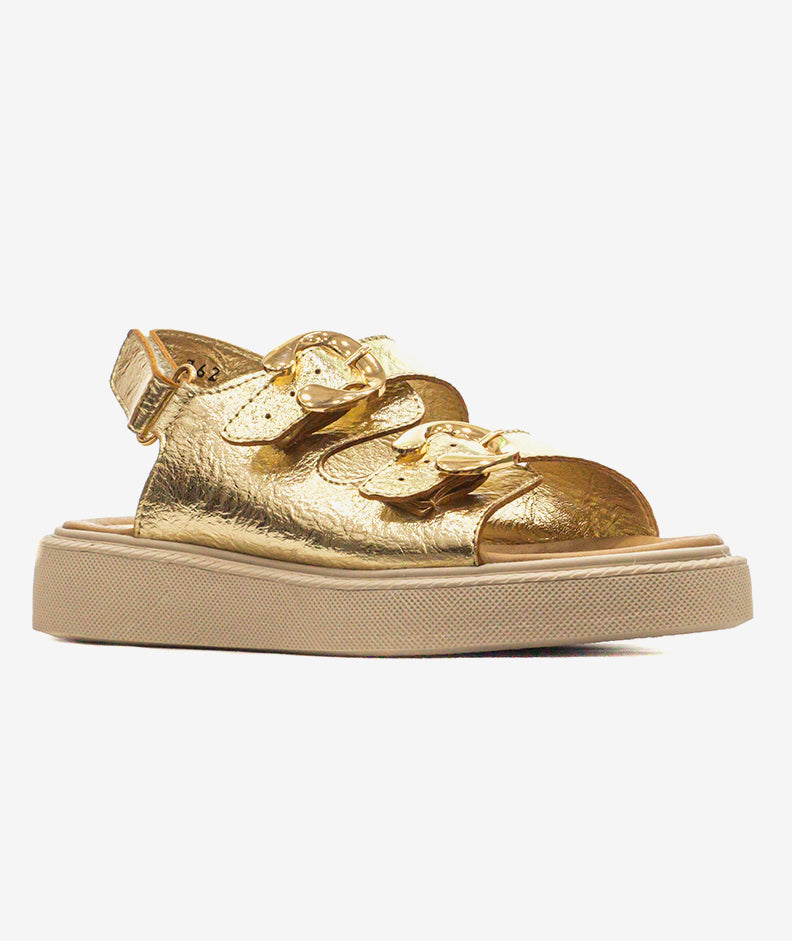 Plataformas Zmexico 762