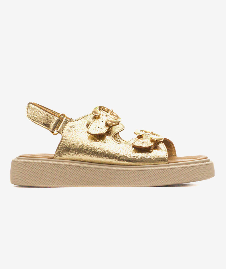 Plataformas Zmexico 762