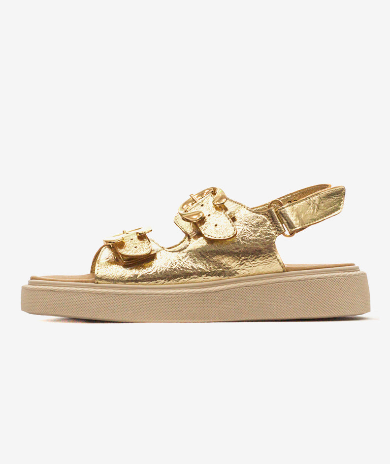 Plataformas Zmexico 762