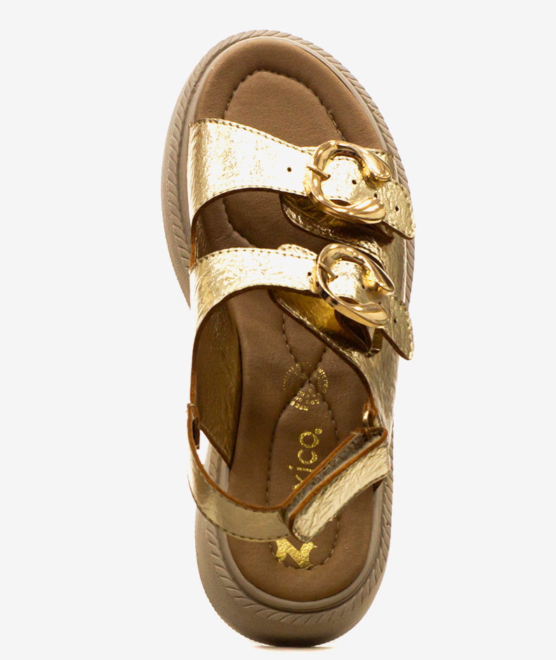 Plataformas Zmexico 762