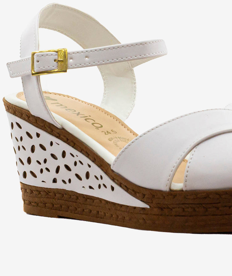 Plataformas ZMexico CA26201