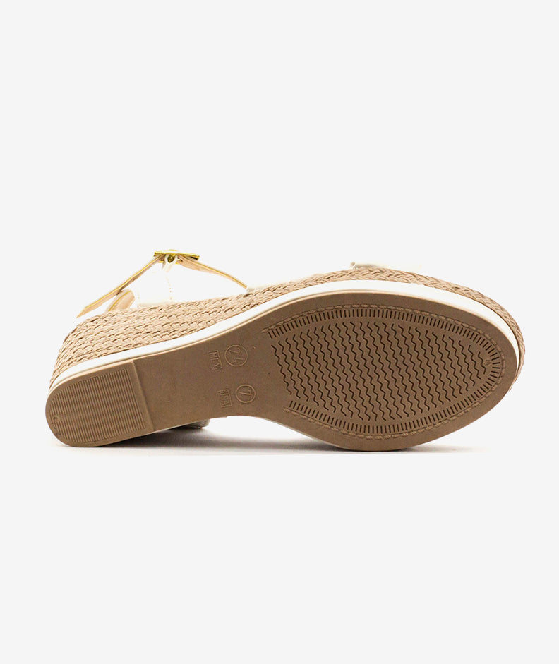 Plataformas Zmexico CO26102