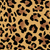 Leopardo / 22