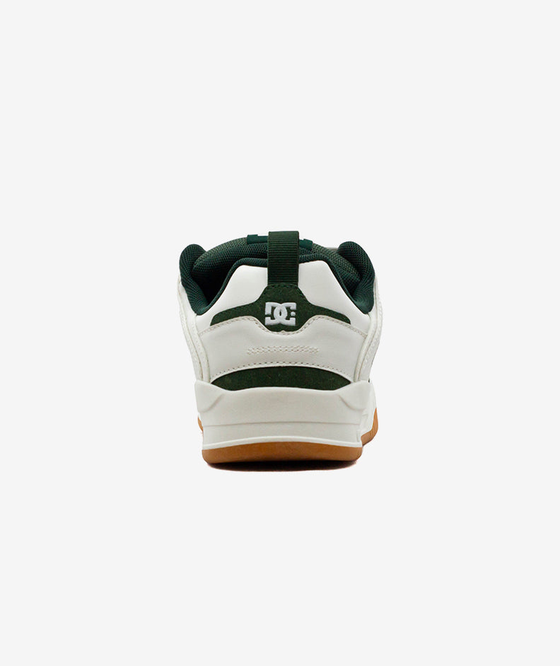 Tenis Urbanos DC MX000019GRNWH para Hombre