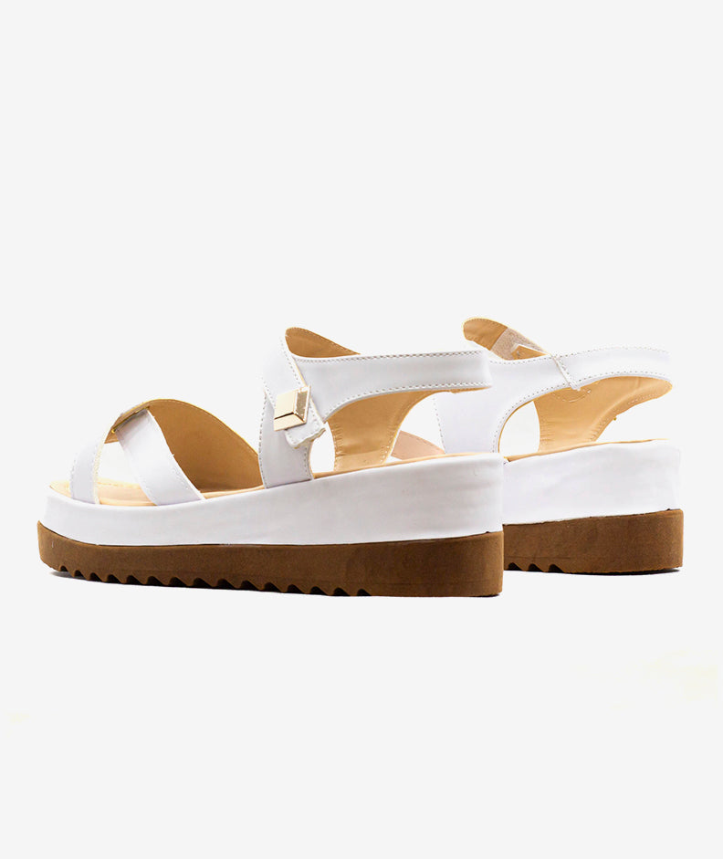 Plataformas Zmexico NI26302